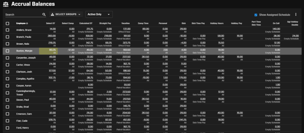 new accrual balances page